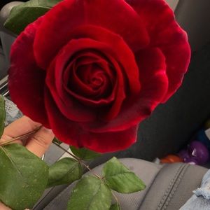 Meet your Posher, Jackie